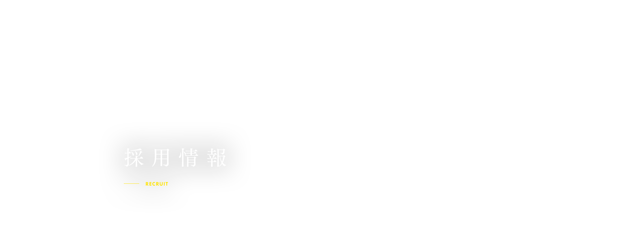 採用情報